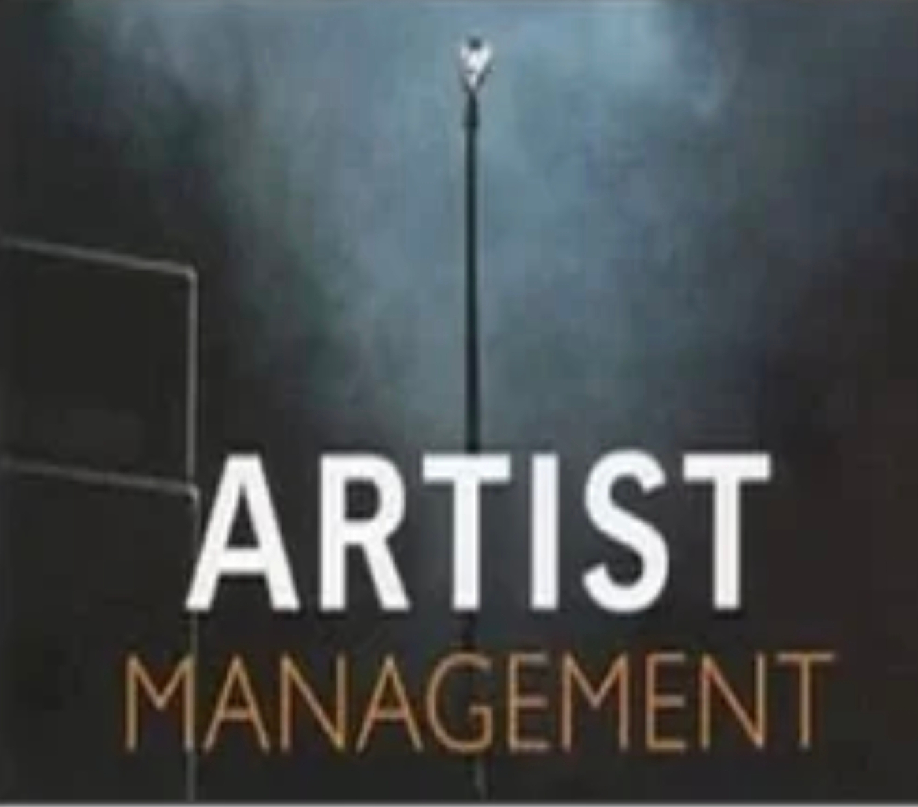 ARTIST MANAGEMENT 